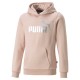 Puma sudadera