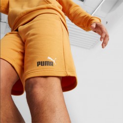 Puma bermuda