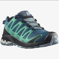 Salomon XA PRO 3D GTX