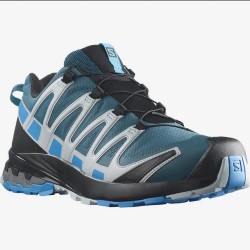 Salomon XA PRO 3D GTX