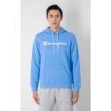 Champion sudadera