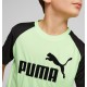 Puma conjunto