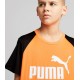 Puma conjunto