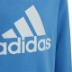 Adidas sudadera