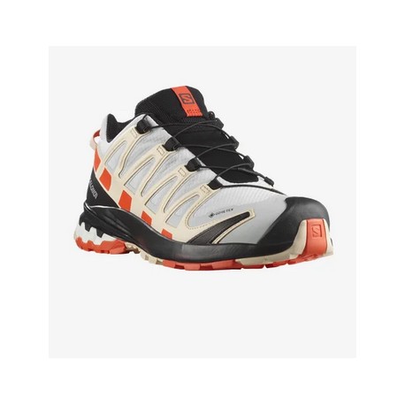 Salomon XA PRO 3D GTX
