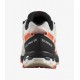 Salomon XA PRO 3D GTX