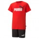 Puma conjunto