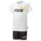 Puma conjunto