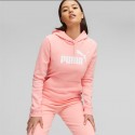 Puma sudadera