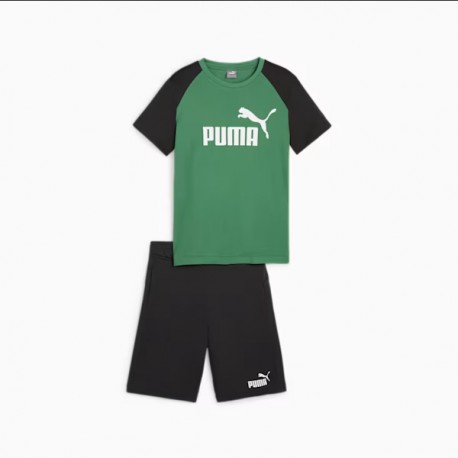 Puma conjunto