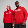 Puma sudadera
