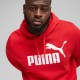 Puma sudadera