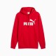 Puma sudadera