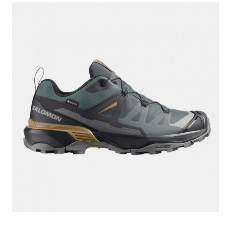 Salomon X Ultra 360 GTX