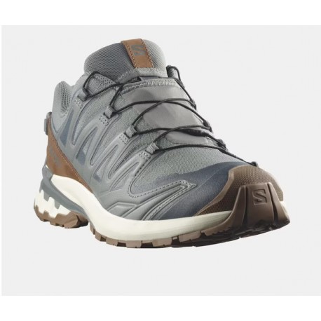 Salomon XA PRO 3D V9 GTX LIFELONG