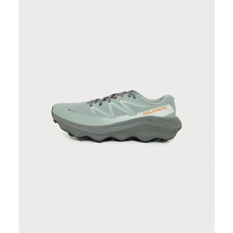Salomon Ultra Flow 2 Gtx